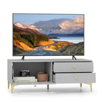 Meuble TV moderne pour téléviseurs 55 pouces avec meuble à porte abattante